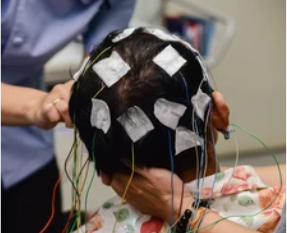 Clinical Neurophysiology  – EEG for Operator: Basic